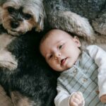 A child playing with a good pet for kids, enjoying safe and friendly companionship.