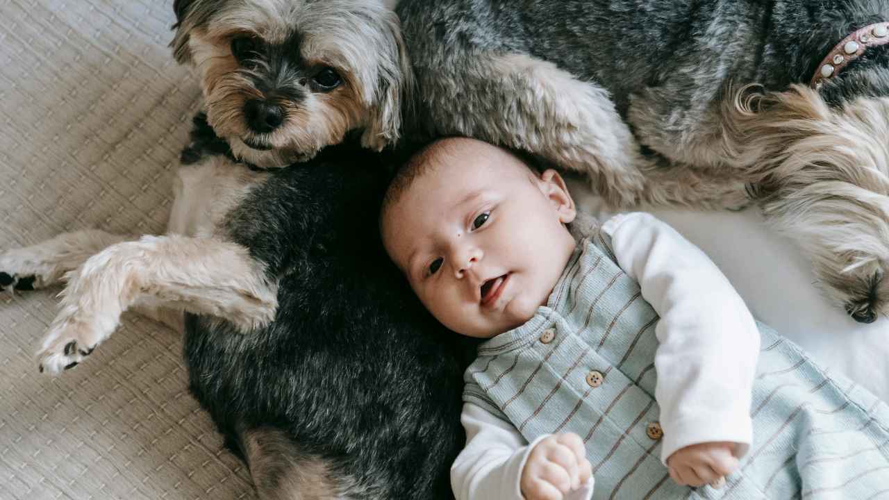 A child playing with a good pet for kids, enjoying safe and friendly companionship.